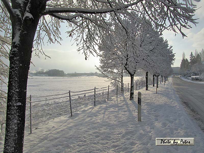 Schliessen von sonnenpracht0410.jpg