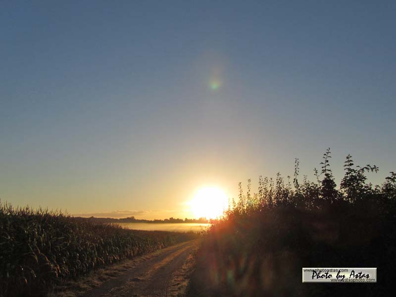 Schliessen von sonnenpracht0434.jpg