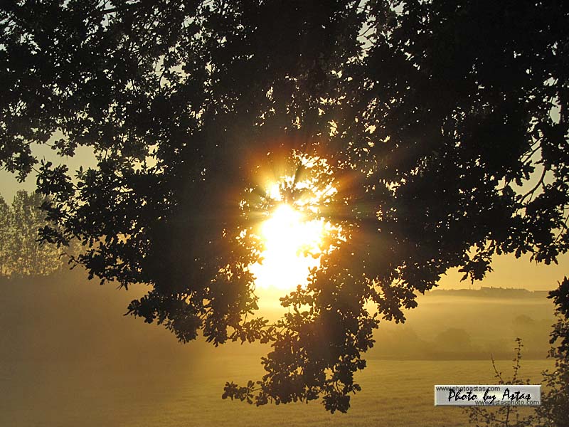 Schliessen von sonnenpracht0436.jpg