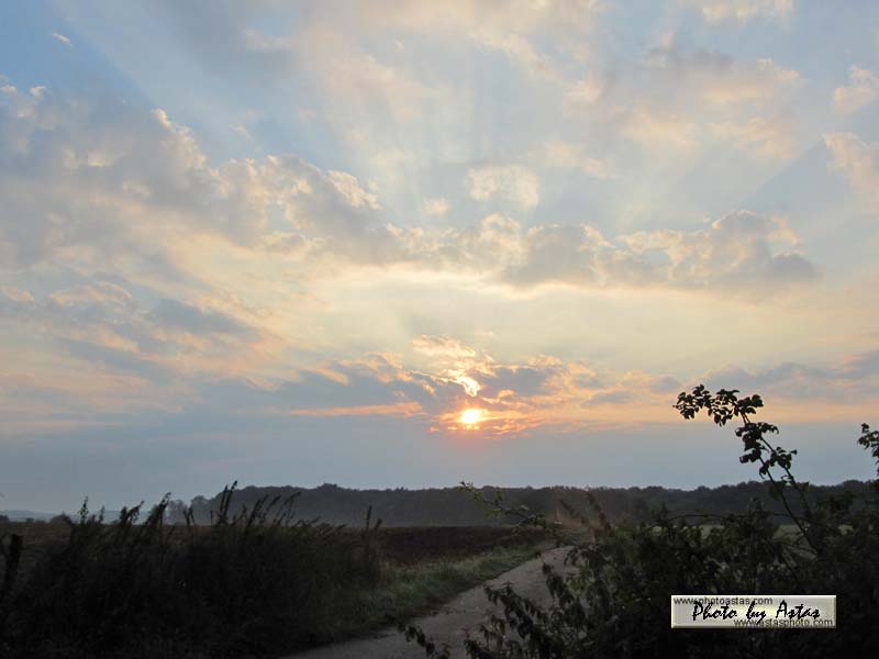 Schliessen von sonnenpracht0469.jpg