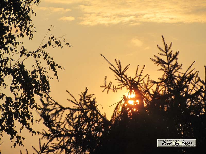 Schliessen von sonnenpracht0472.jpg