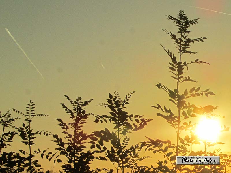 Schliessen von sonnenpracht0479.jpg