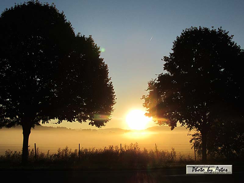 Schliessen von sonnenpracht0486.jpg