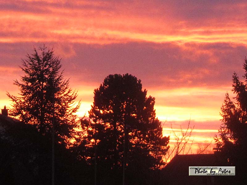 Schliessen von sonnenpracht0501.jpg