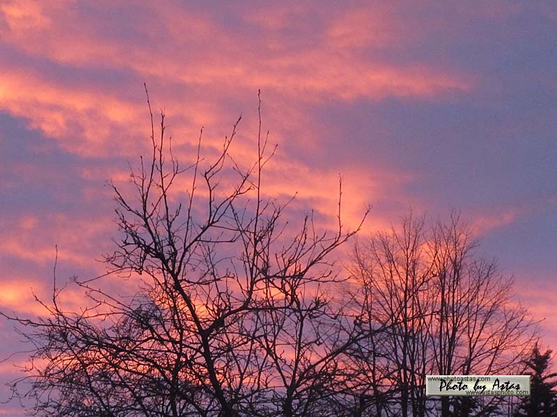 Schliessen von sonnenpracht0505.jpg
