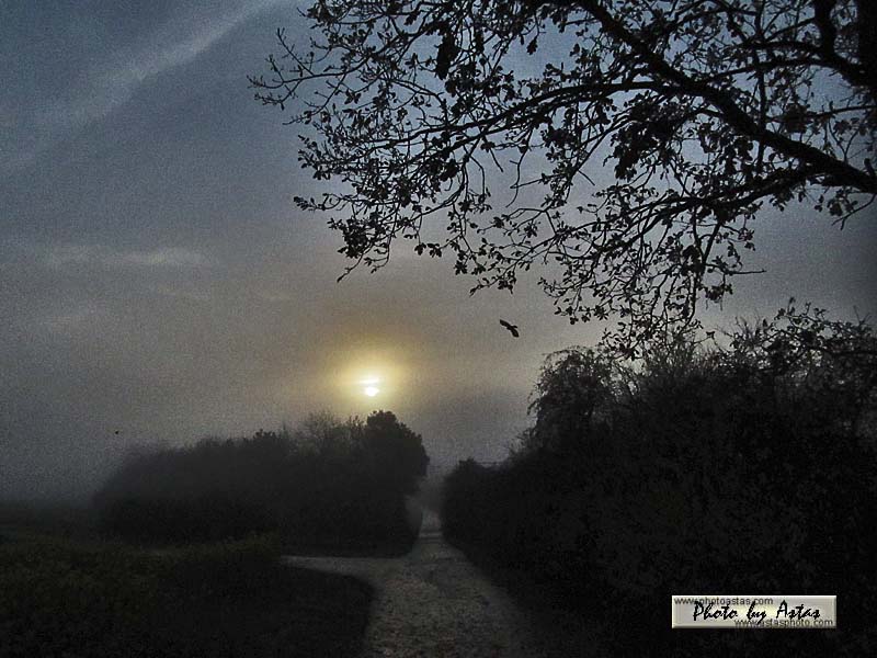 Schliessen von sonnenpracht0561.jpg