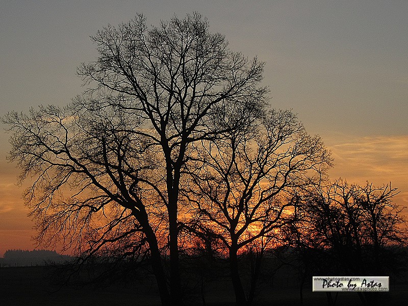 Schliessen von sonnenpracht0578.jpg