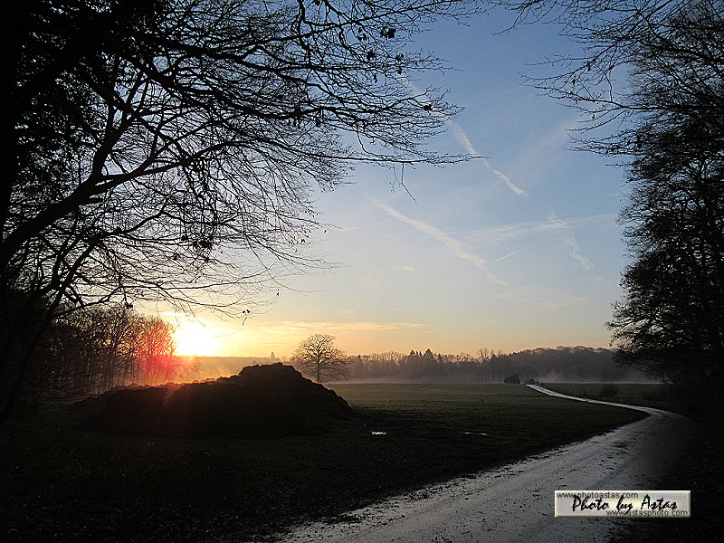 Schliessen von sonnenpracht0585.jpg