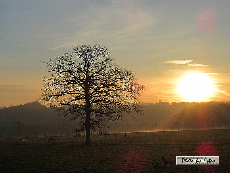 Schliessen von sonnenpracht0587.jpg