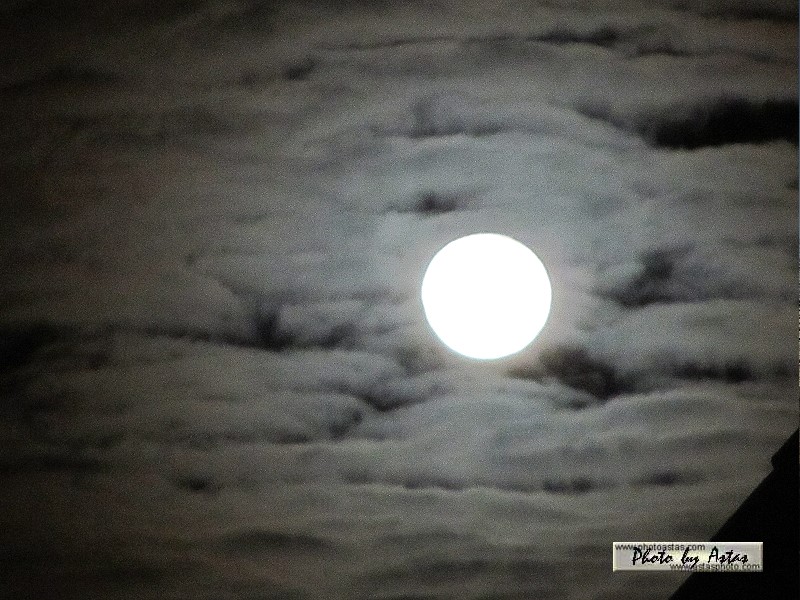 Schliessen von sonnenpracht0591.jpg