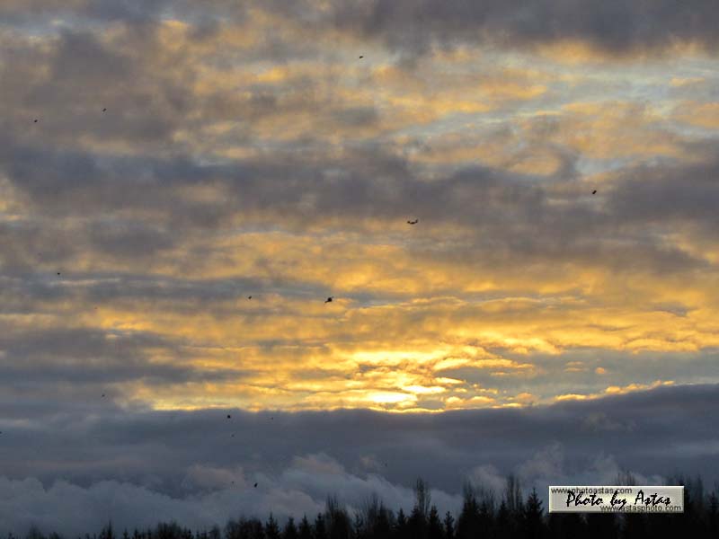 Schliessen von sonnenpracht0592.jpg