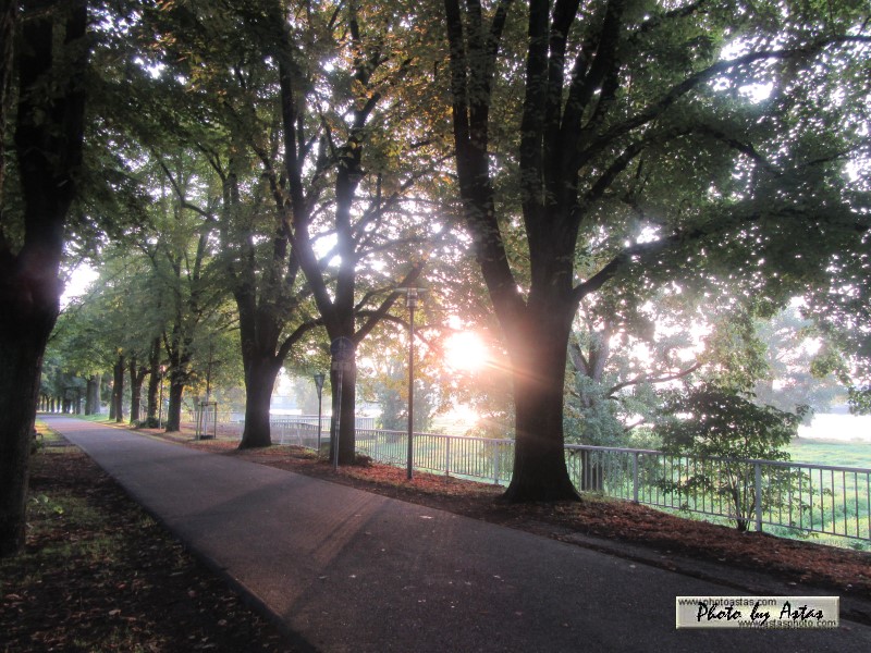 Schliessen von sonnenpracht0594.jpg
