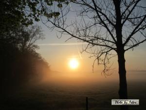 Klick für Originalgröße :sonnenpracht0002.jpg