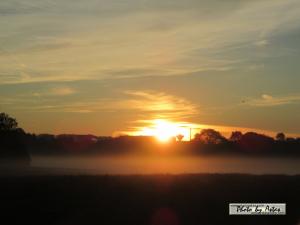 Klick für Originalgröße :sonnenpracht0004.jpg