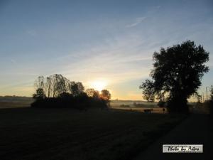 Klick für Originalgröße :sonnenpracht0005.jpg