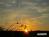 Bild#6(sonnenpracht0006.jpg)