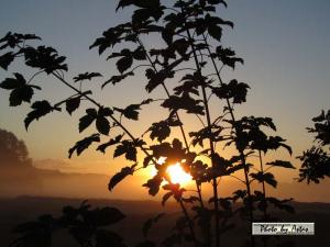 Klick für Originalgröße :sonnenpracht0012.jpg