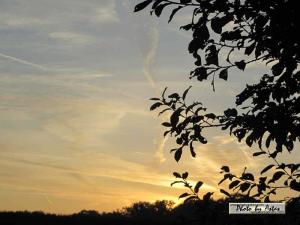 Klick für Originalgröße :sonnenpracht0014.jpg