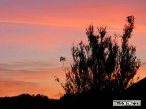 Klick für Originalgröße :sonnenpracht0019.jpg