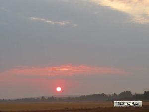 Klick für Originalgröße :sonnenpracht0021.jpg