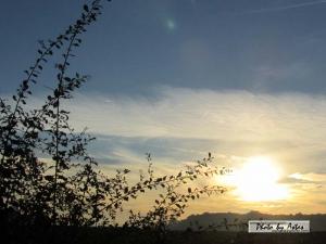 Klick für Originalgröße :sonnenpracht0023.jpg