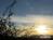 Bild#23(sonnenpracht0023.jpg)