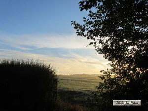 Klick für Originalgröße :sonnenpracht0028.jpg