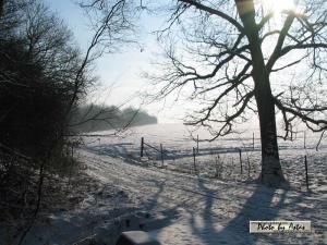 Klick für Originalgröße :sonnenpracht0034.jpg