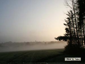 Klick für Originalgröße :sonnenpracht0036.jpg
