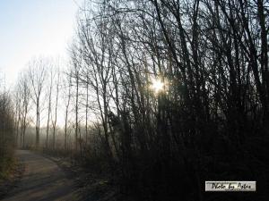 Klick für Originalgröße :sonnenpracht0038.jpg
