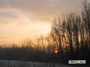 Klick für Originalgröße :sonnenpracht0045.jpg