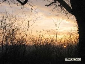 Klick für Originalgröße :sonnenpracht0046.jpg