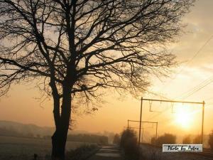 Klick für Originalgröße :sonnenpracht0048.jpg