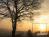Bild#48(sonnenpracht0048.jpg)