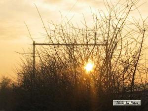 Klick für Originalgröße :sonnenpracht0049.jpg