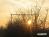Bild#49(sonnenpracht0049.jpg)