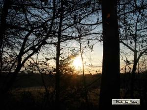 Klick für Originalgröße :sonnenpracht0052.jpg