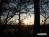 Bild#52(sonnenpracht0052.jpg)