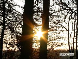 Klick für Originalgröße :sonnenpracht0053.jpg