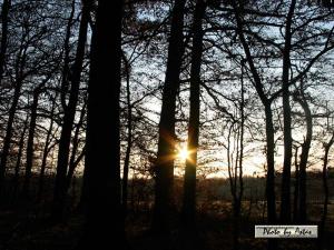 Klick für Originalgröße :sonnenpracht0054.jpg