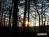 Bild#54(sonnenpracht0054.jpg)
