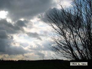 Klick für Originalgröße :sonnenpracht0058.jpg