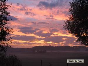 Klick für Originalgröße :sonnenpracht0060.jpg