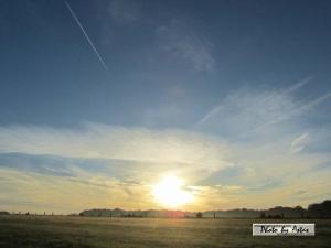 Klick für Originalgröße :sonnenpracht0061.jpg