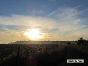 Klick für Originalgröße :sonnenpracht0063.jpg