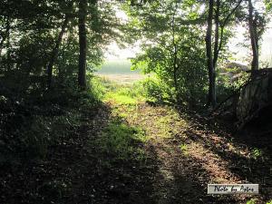 Klick für Originalgröße :sonnenpracht0072.jpg