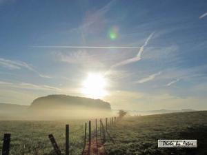 Klick für Originalgröße :sonnenpracht0074.jpg
