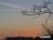 Bild#80(sonnenpracht0080.jpg)