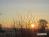 Bild#86(sonnenpracht0086.jpg)