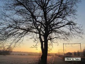 Klick für Originalgröße :sonnenpracht0090.jpg
